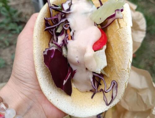 Köles lepény ( glutén, tej, tojás, cukor, szójamentes, vegán )