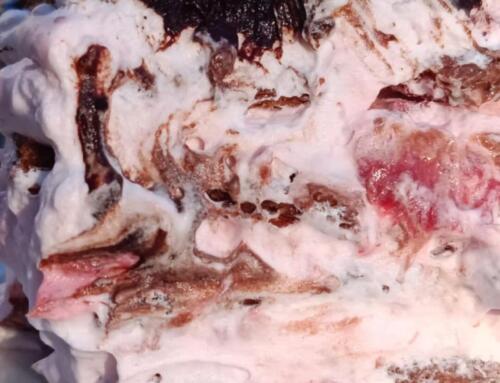 Epres krémes ( glutén, tej, tojás, cukor,szójamentes, vegán )